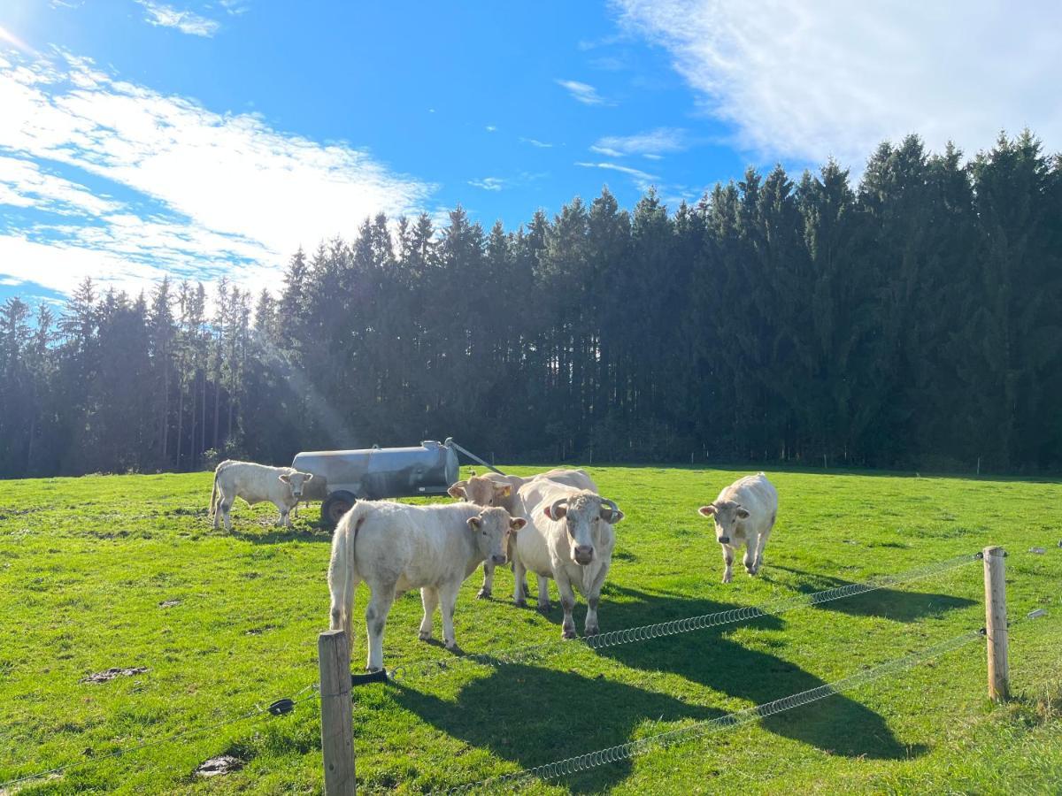 Ferienhaus Am Wald Lägenhet Friesenried Exteriör bild