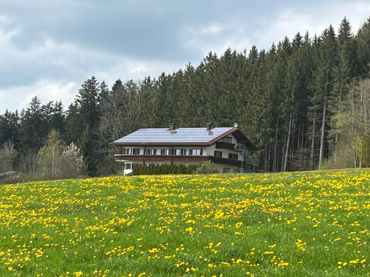 Ferienhaus Am Wald Lägenhet Friesenried Exteriör bild