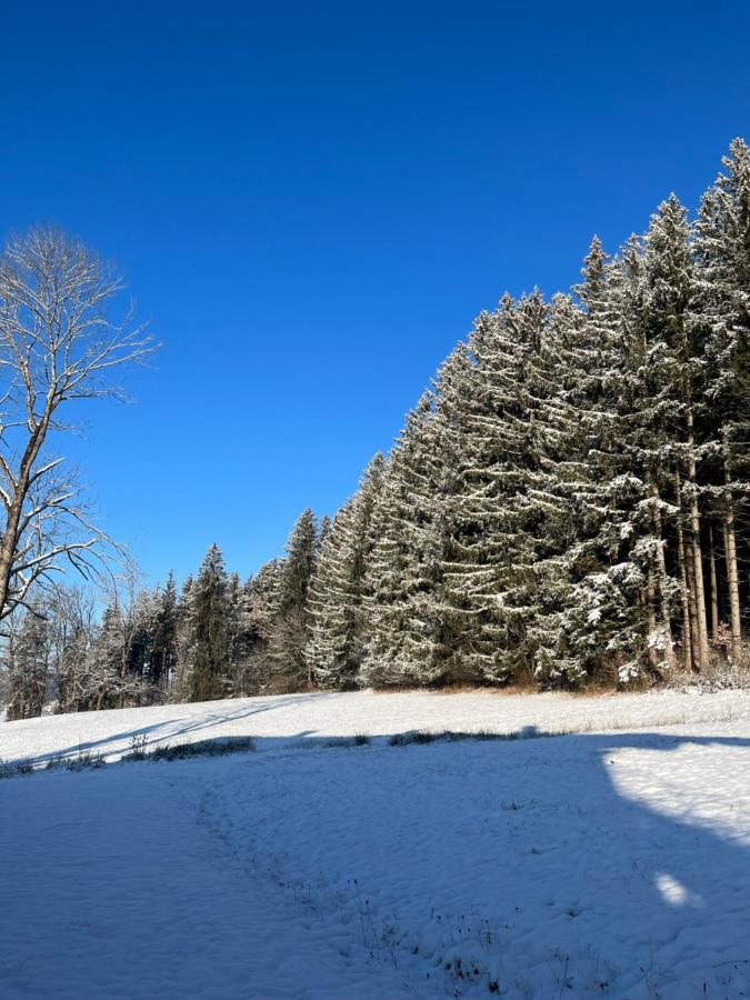 Ferienhaus Am Wald Lägenhet Friesenried Exteriör bild