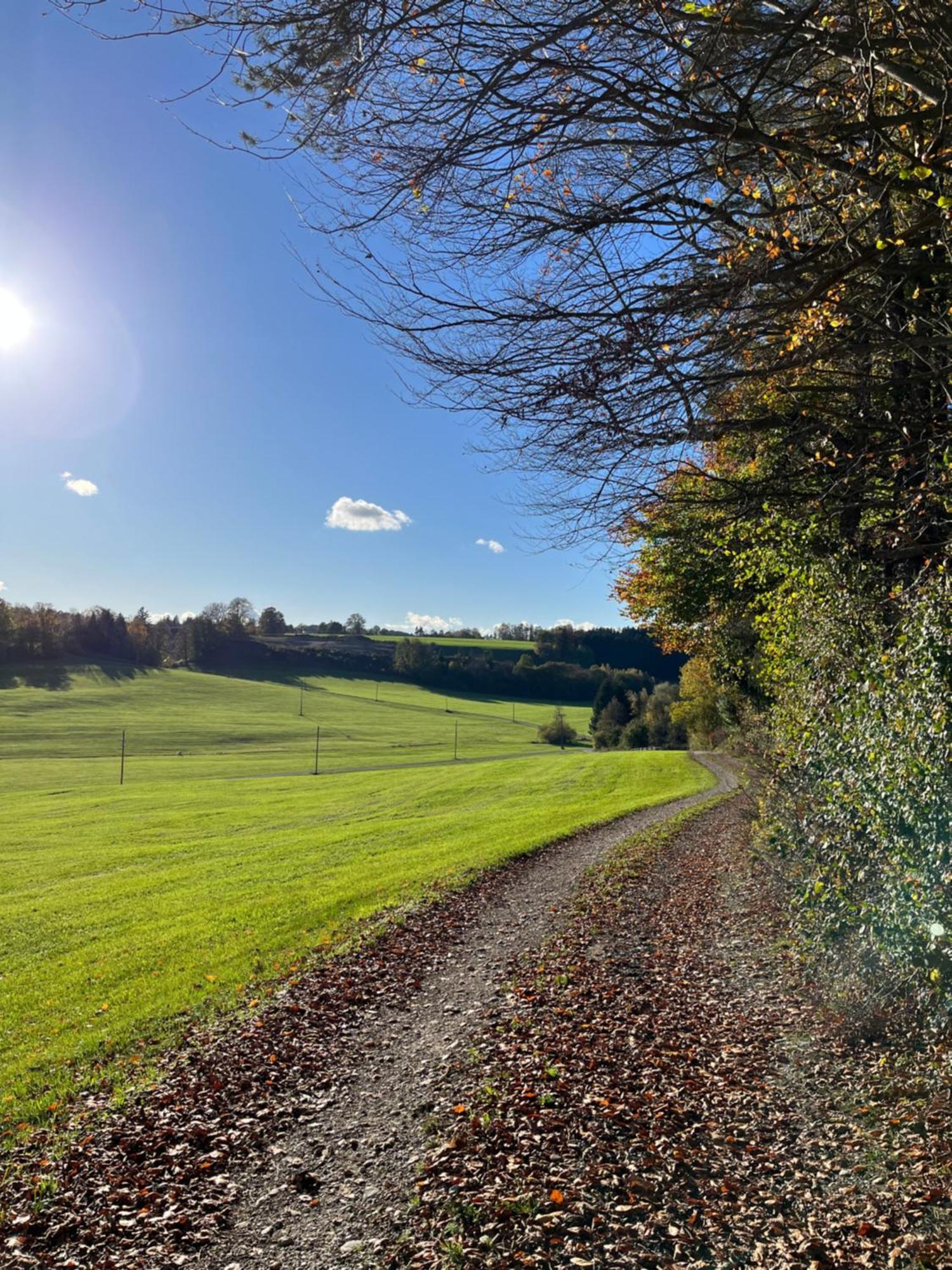Ferienhaus Am Wald Lägenhet Friesenried Exteriör bild